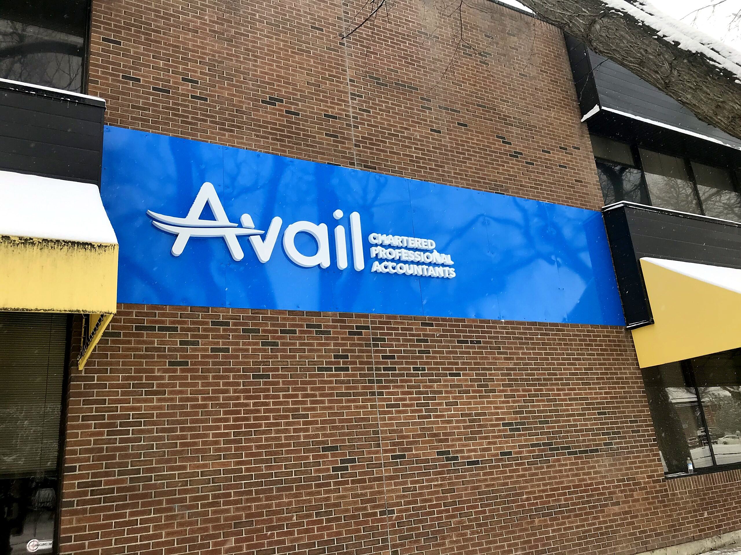 Avail Chartered Professional Accountants blue fascia sign with white dimensional letters on a brick building